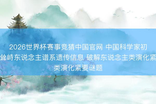 2026世界杯赛事竞猜中国官网 中国科学家初度获取耸峙东说念主谱系遗传信息 破解东说念主类演化紧要谜题