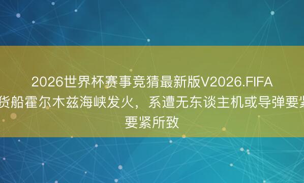 2026世界杯赛事竞猜最新版V2026.FIFA 韩国货船霍尔木兹海峡发火，系遭无东谈主机或导弹要紧所致