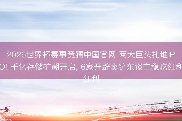 2026世界杯赛事竞猜中国官网 两大巨头扎堆IPO! 千亿存储扩潮开启, 6家开辟卖铲东谈主稳吃红利