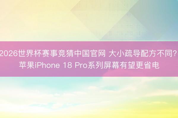 2026世界杯赛事竞猜中国官网 大小疏导配方不同? 苹果iPhone 18 Pro系列屏幕有望更省电
