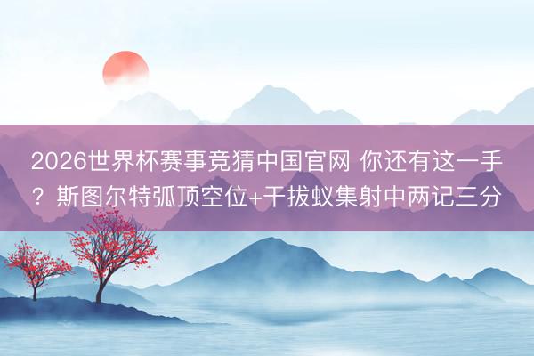 2026世界杯赛事竞猜中国官网 你还有这一手？斯图尔特弧顶空位+干拔蚁集射中两记三分