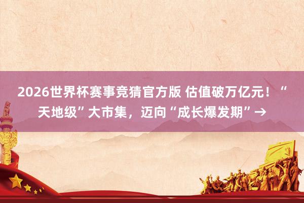 2026世界杯赛事竞猜官方版 估值破万亿元！“天地级”大市集，迈向“成长爆发期”→